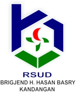 RSUD Brigjen H Hasan Basry